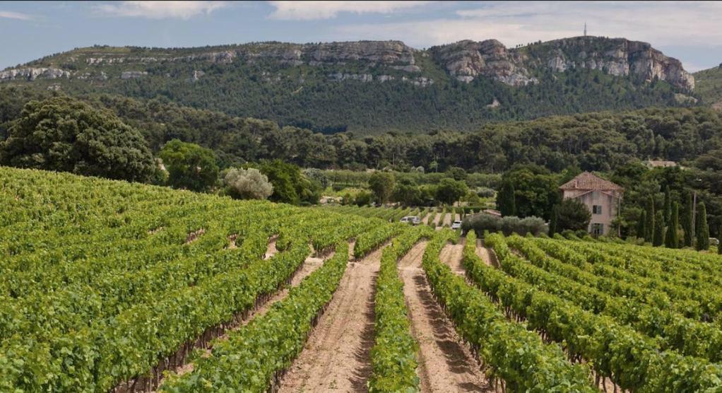 Mistral Gagnant Daire Cassis Dış mekan fotoğraf